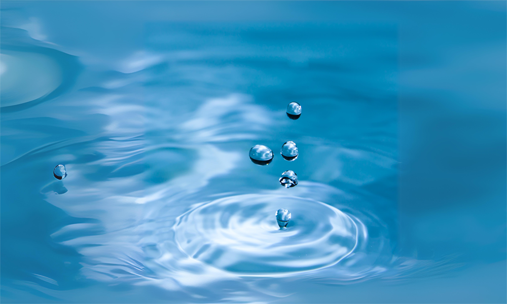 용제 기반 제형