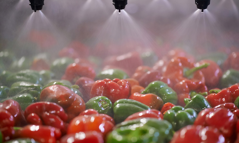 계면활성제 응용