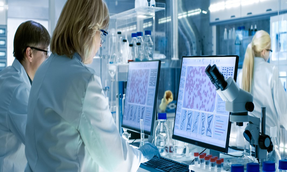 맞춤형 엘라스토머