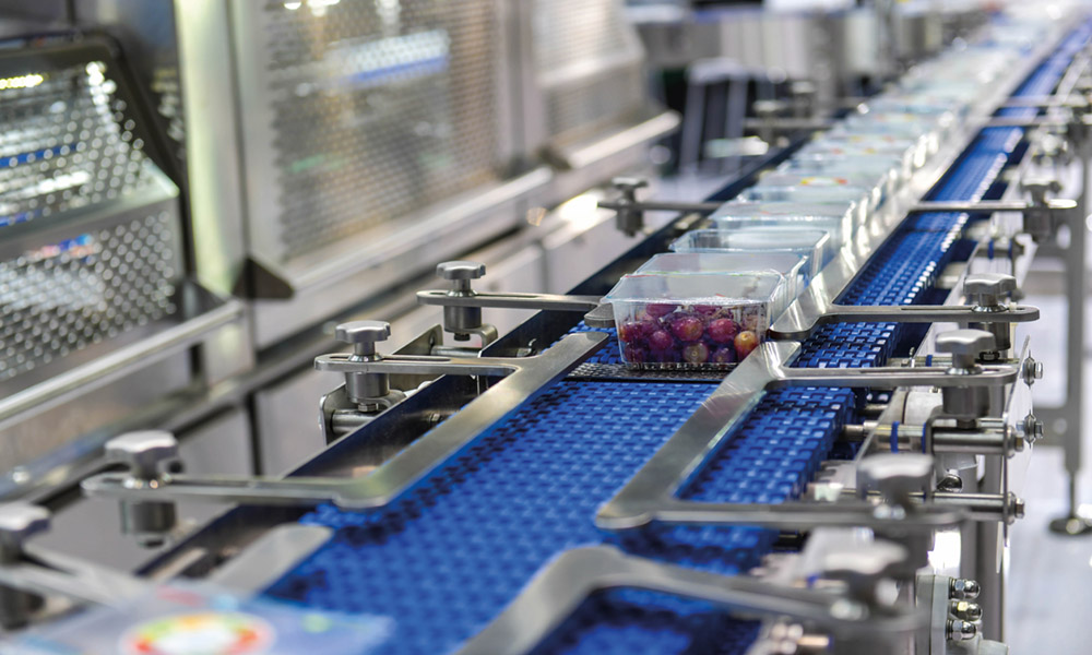 Food Packaging Processing and Converting