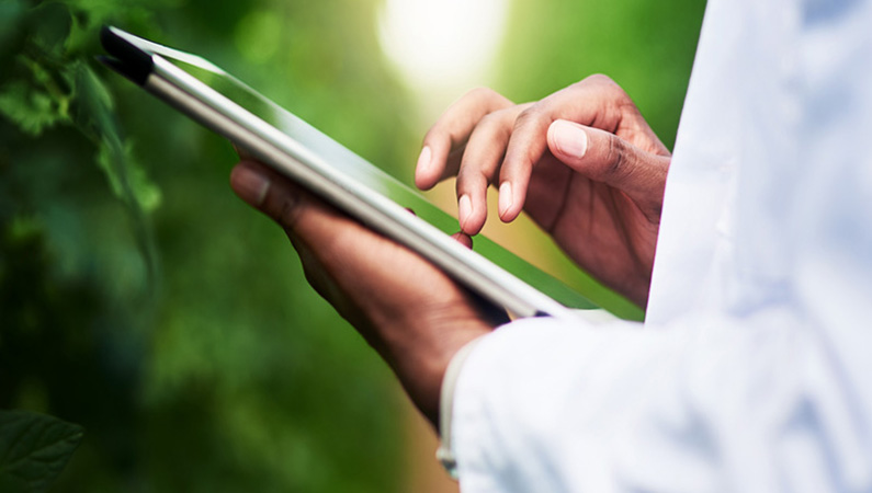 Scientist hands holding tablet taking notes in nature