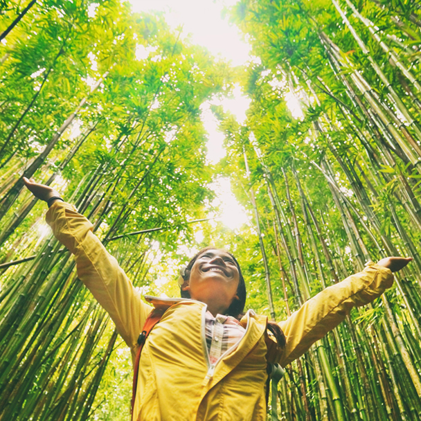 Woman holding arms up and open in bamboo forest