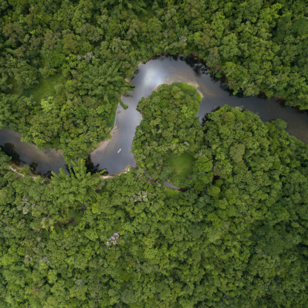 Eco-Friendly view of the Amazon from above