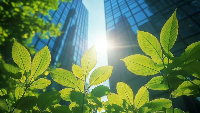 View of a sunny day through green tree leaves and tall skyscrappers