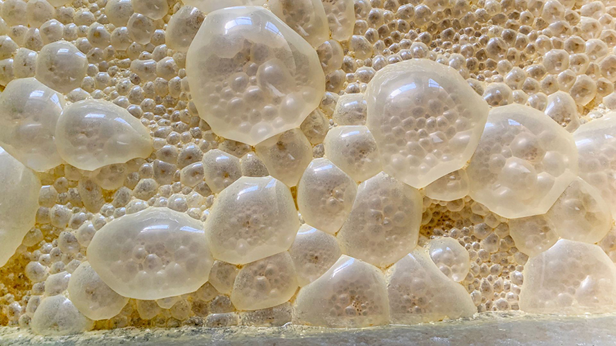 A Momentive fornece uma solução para remover a espuma em processos de fermentação