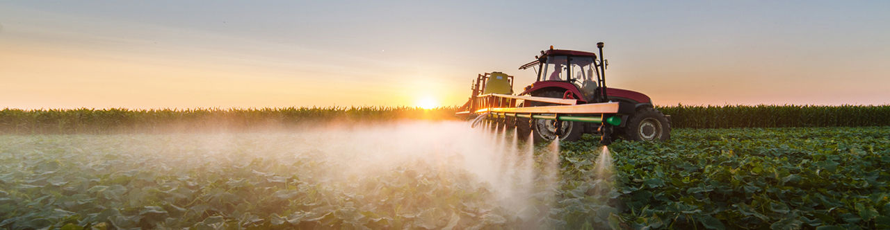 Tractor spraying pesticides on soybean field with sprayer