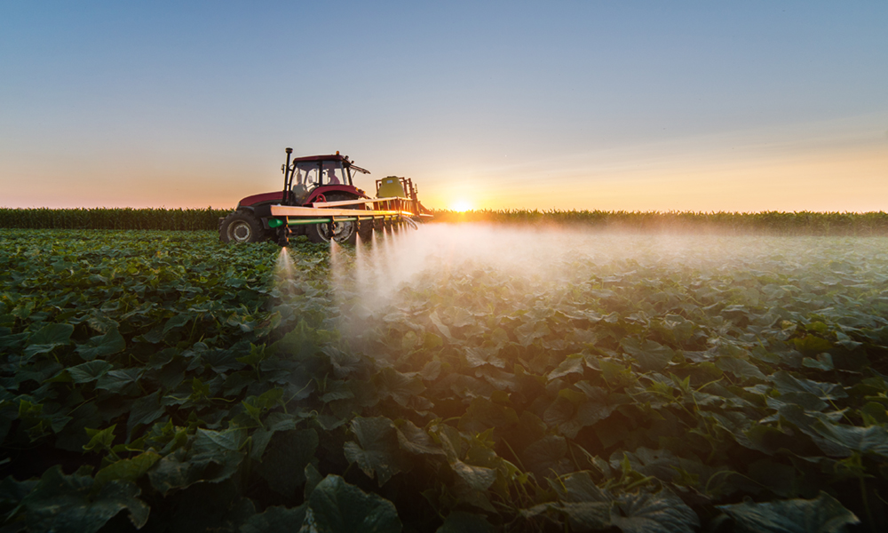 Tractor spraying pesticides on soybean field  with sprayer