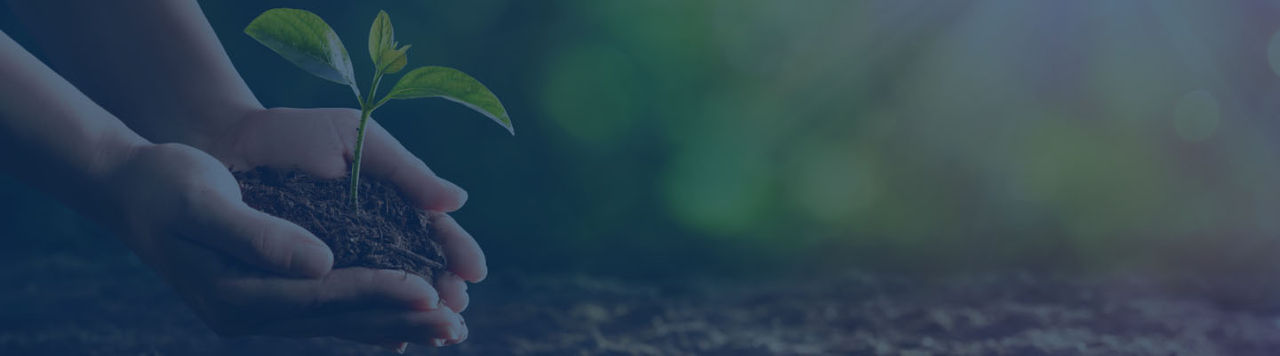 Momentive Sustainability